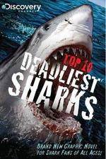Watch National Geographic Worlds Deadliest Sharks Megavideo