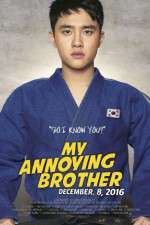 Watch My Annoying Brother Megavideo