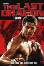 Watch The Last Dragon Megavideo