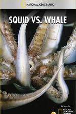 Watch National Geographic Wild - Squid Vs Whale Megavideo