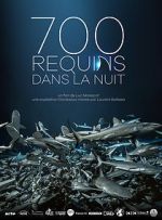 Watch 700 requins dans la nuit Megavideo