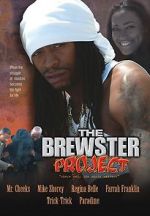 Watch The Brewster Project Megavideo