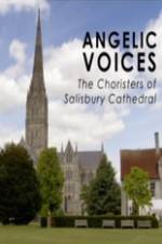 Watch Angelic Voices The Choristers of Salisbury Cathedral Megavideo