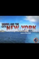 Watch Sharks and the City: New York Megavideo