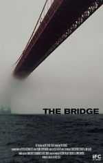 Watch The Bridge Megavideo