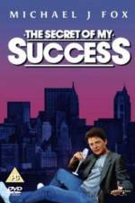 Watch The Secret of My Succe$s Megavideo