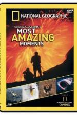 Watch National Geographic's Most Amazing Moments Megavideo