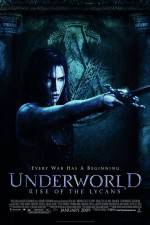 Watch Underworld: Rise of the Lycans Megavideo