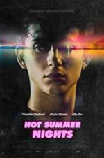 Watch Hot Summer Nights Megavideo