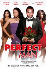 Watch The Perfect Man Megavideo