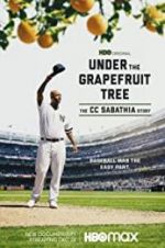 Watch Under the Grapefruit Tree: The CC Sabathia Story Megavideo