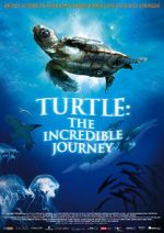 Watch Turtle: The Incredible Journey Megavideo