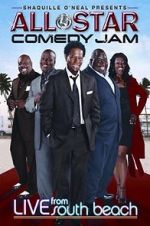Watch All Star Comedy Jam: Live from South Beach Megavideo