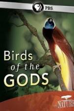 Watch Birds Of The Gods Megavideo