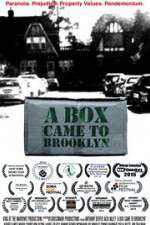 Watch A Box Came to Brooklyn Megavideo