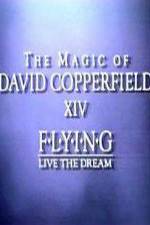 Watch The Magic of David Copperfield XIV Flying - Live the Dream Megavideo