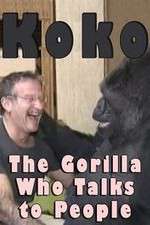 Watch Koko: The Gorilla Who Talks to People Megavideo