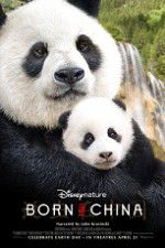Watch Born in China Megavideo