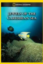 Watch National Geographic Jewels of the Caribbean Sea Megavideo