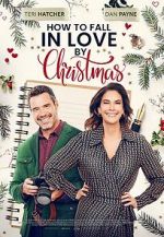 Watch How to Fall in Love by Christmas Megavideo