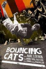 Watch Bouncing Cats Megavideo
