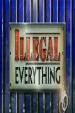 Watch Illegal Everything 2012 Megavideo