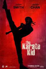 Watch The Karate Kid Megavideo