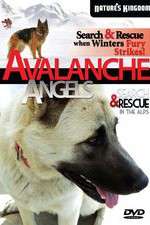 Watch Avalanche Angels Megavideo