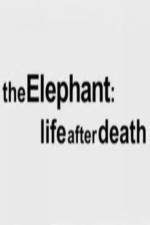 Watch The Elephant - Life After Death Megavideo