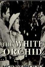 Watch The White Orchid Megavideo