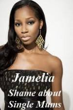 Watch Jamelia - Shame about Single Mums Megavideo