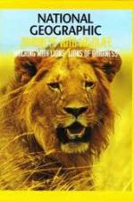 Watch National Geographic:  Walking with Lions Megavideo