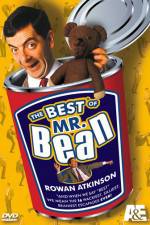 Watch The Best Bits of Mr. Bean Megavideo