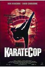 Watch Karate Cop Megavideo