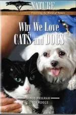 Watch Why We Love Cats And Dogs Megavideo