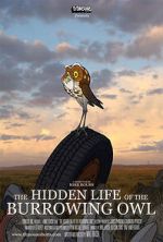 Watch The Hidden Life of the Burrowing Owl (Short 2008) Megavideo
