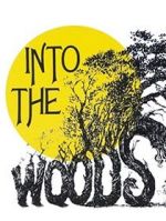 Watch Into the Woods Megavideo