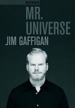 Watch Jim Gaffigan: Mr. Universe Megavideo