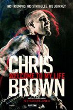 Watch Chris Brown Welcome to My Life Megavideo