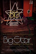Watch Big Star: Nothing Can Hurt Me Megavideo