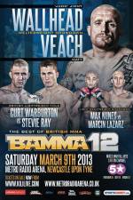 Watch BAMMA 12: Wallhead vs Veach Megavideo