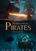 Watch The True Story of Pirates Megavideo