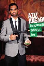 Watch Aziz Ansari Dangerously Delicious Megavideo