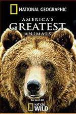 Watch America's Greatest Animals Megavideo
