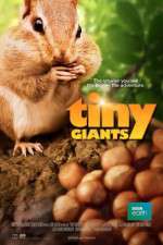 Watch Tiny Giants 3D Megavideo