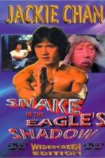 Watch Bruce Vs. Snake In Eagle's Shadow Megavideo