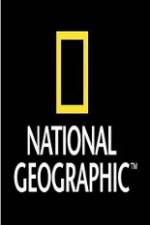 Watch National Geographic Wild War Elephants Megavideo