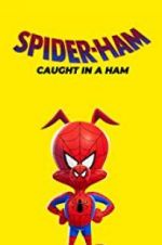 Watch Spider-Ham: Caught in a Ham Megavideo