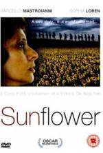 Watch Sunflower Megavideo