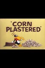 Watch Corn Plastered (Short 1951) Megavideo